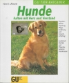 Hunde halten mit Herz und Verstand