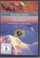 Bild 1 von Alaska, Amerikas Wildnis im Hohen Norden, DVD